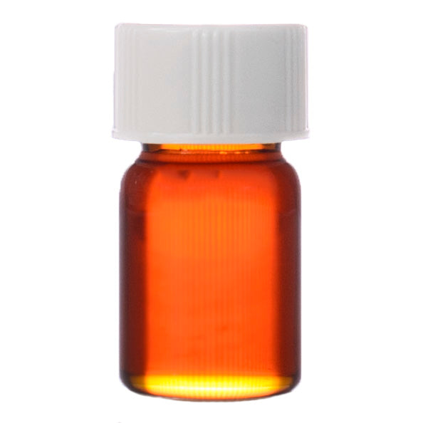 Jasmine Juhi - Absolute