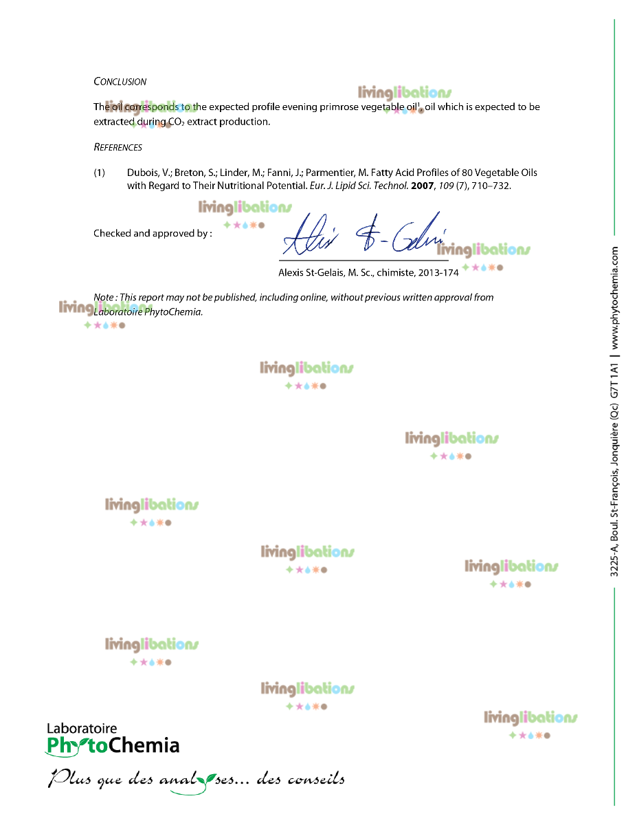Evening Primrose - Carrier Oil