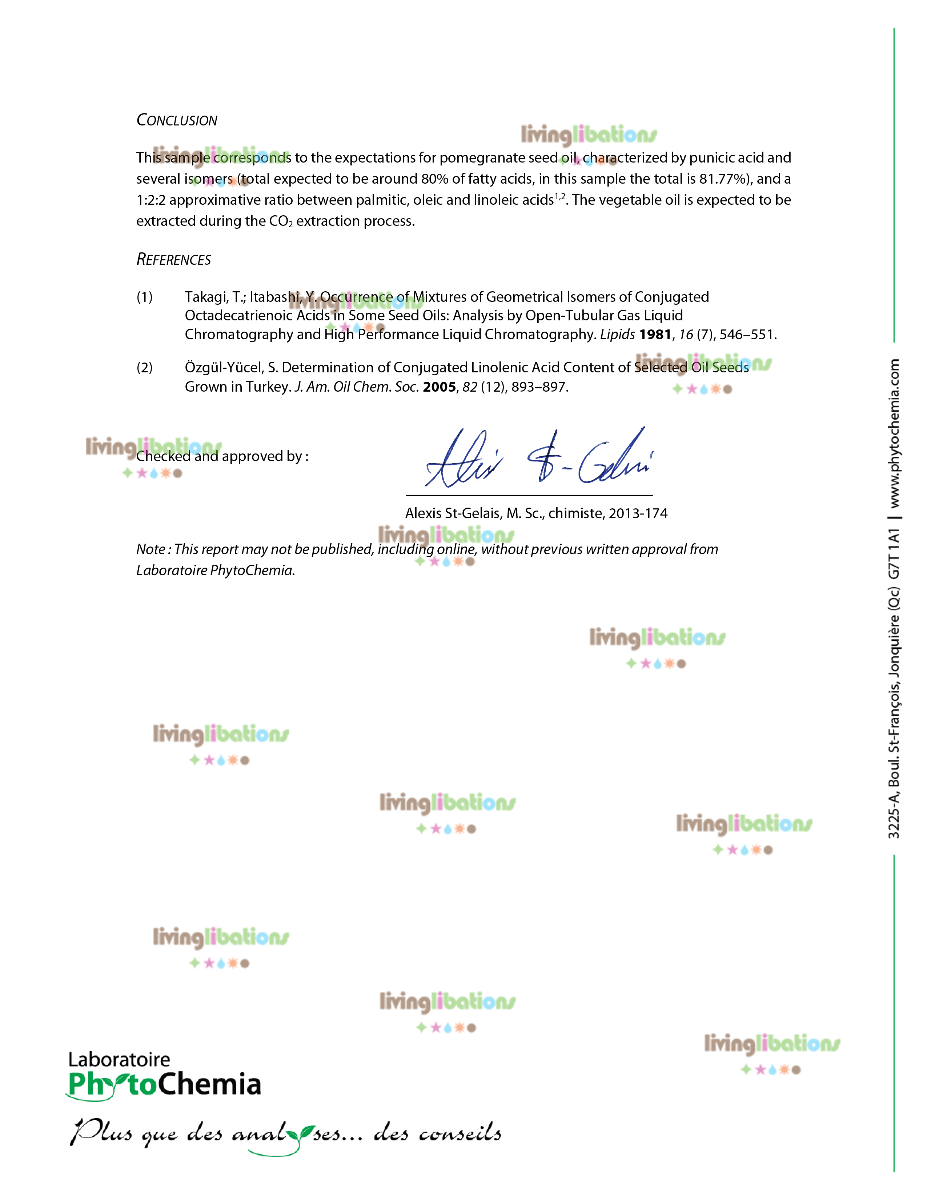 Pomegranate - Carrier Oil