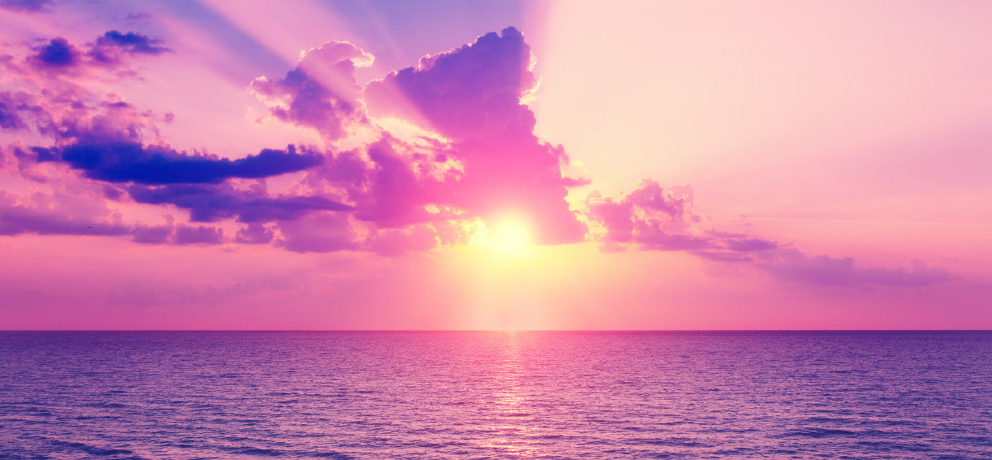 Living Libations Pink Sunset Black Friday Sale