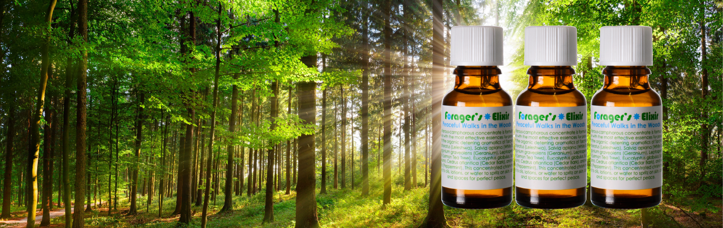 Forager's Wildcrafted Elixir in a forest setting