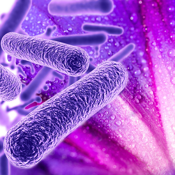 skin microbiome