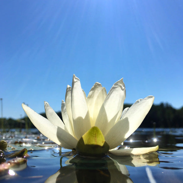 guided meditation for healing