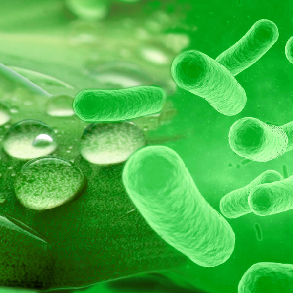 natural oral care products