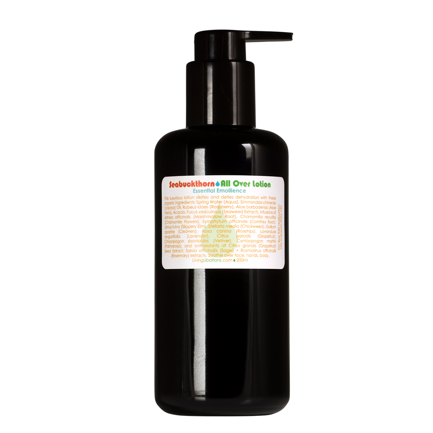 Seabuckthorn All Over Lotion