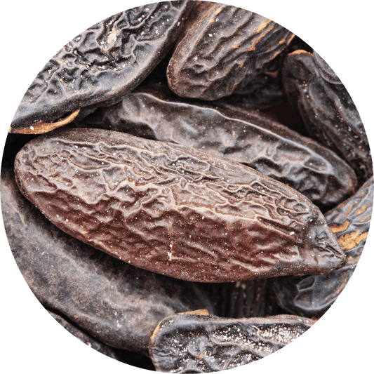 Tonka Bean - Absolute