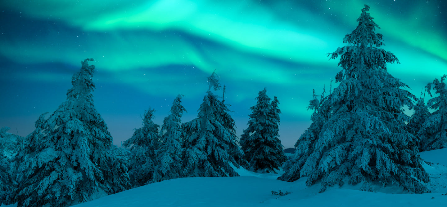 Living Libations Boxing Week Toothpaste Mother of Pearl Spoon Giveaway