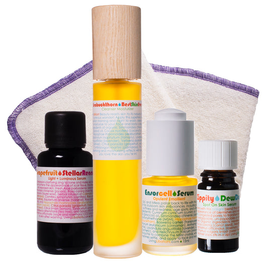 Brilliant Beauty Basic Blemish Bundle