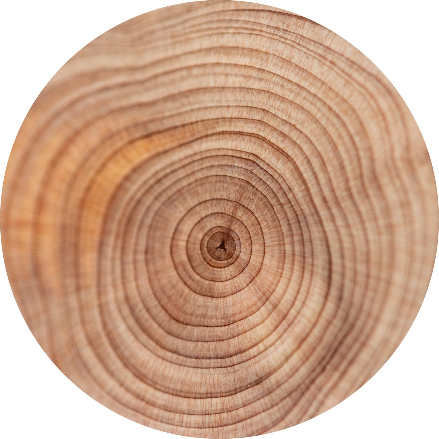 Sandalwood, Traditional - Essential Oil