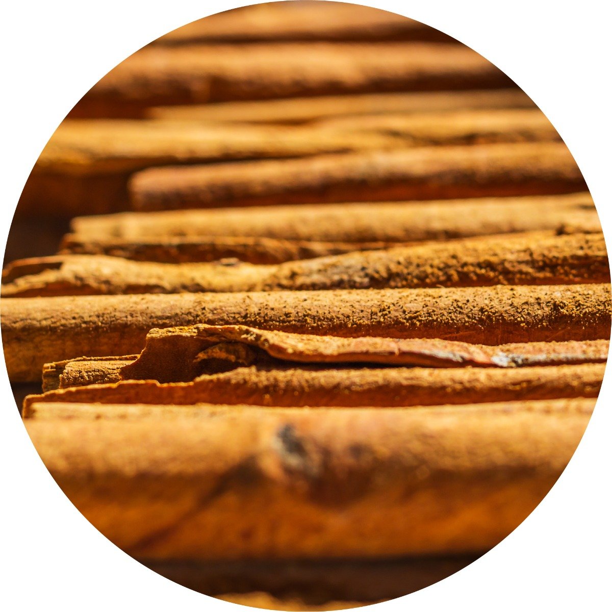 Cinnamon Bark - Essential Oil