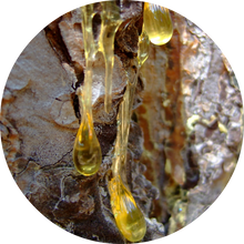 Load image into Gallery viewer, Myrrh Essential Oil