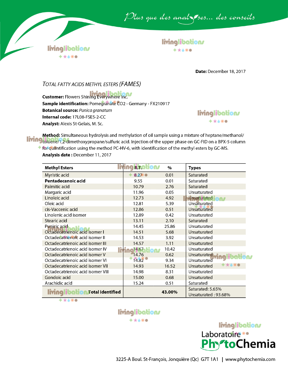Pomegranate - Carrier Oil