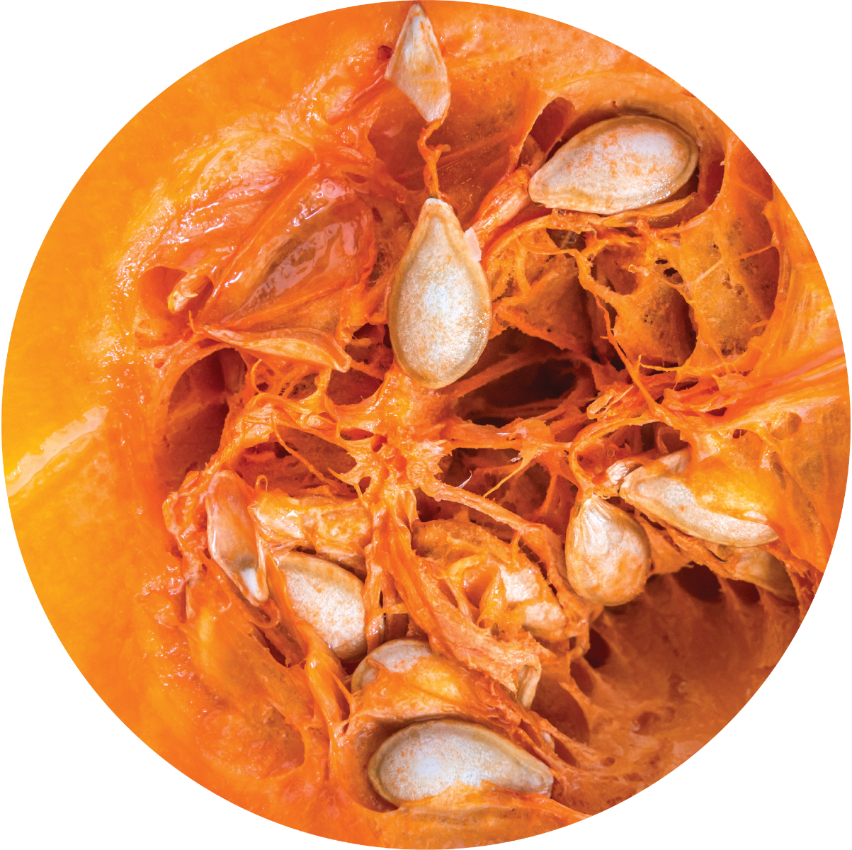 Pumpkin Seed - Carrier Oil